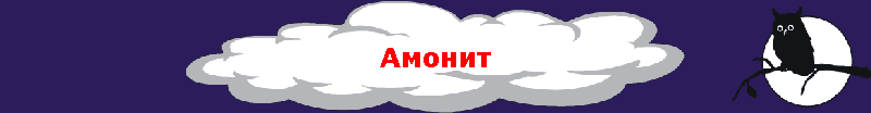 Амонит