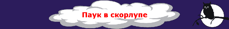 Паук в скорлупе